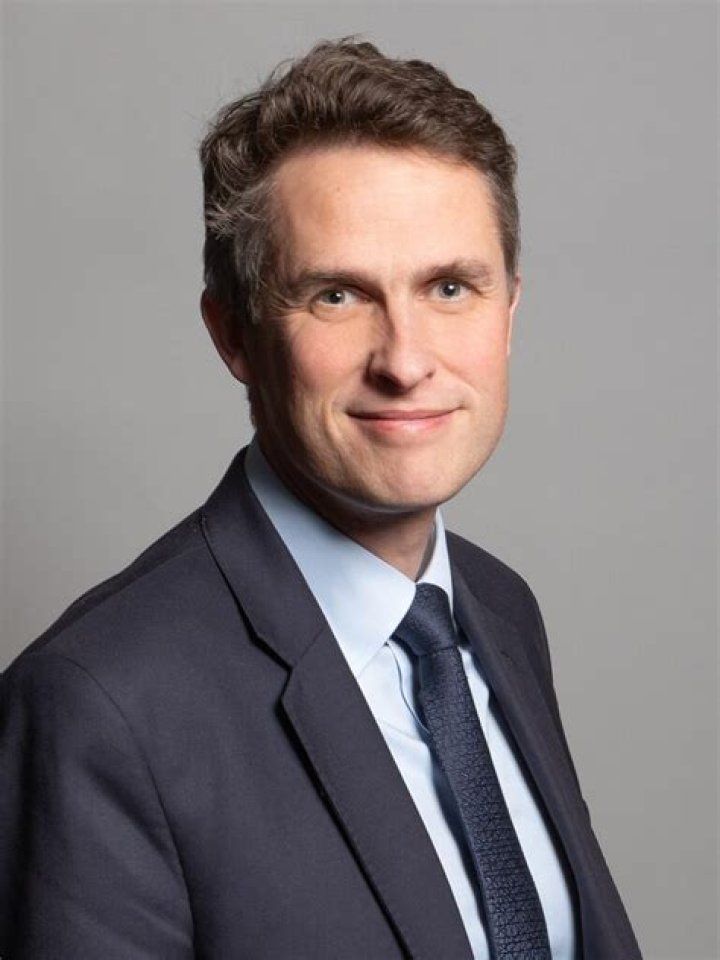 Felix Williamson Bio (Wiki) 