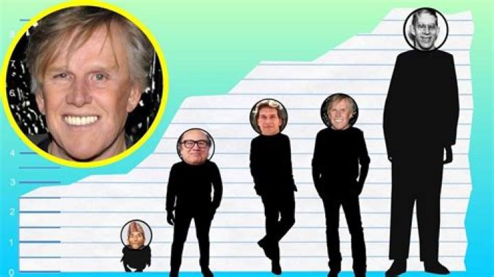 Gary Busey Height: How Tall Is Gary Busey?