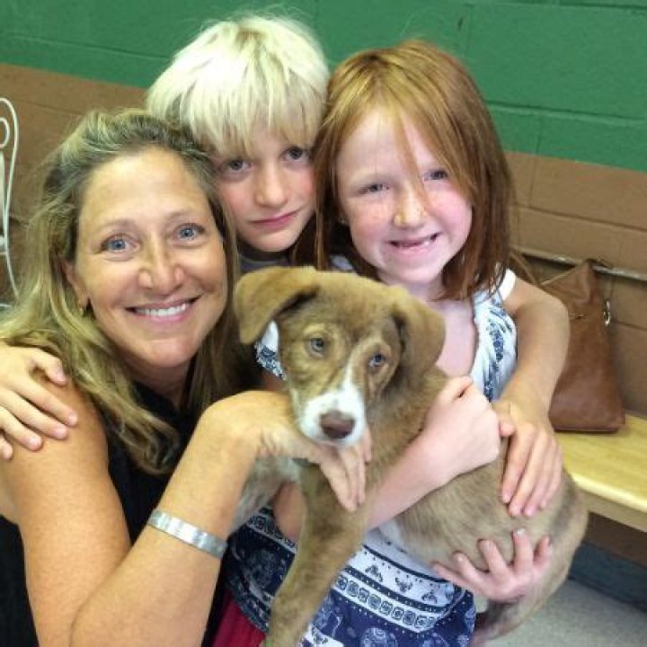 Getting To Know Macy Falco