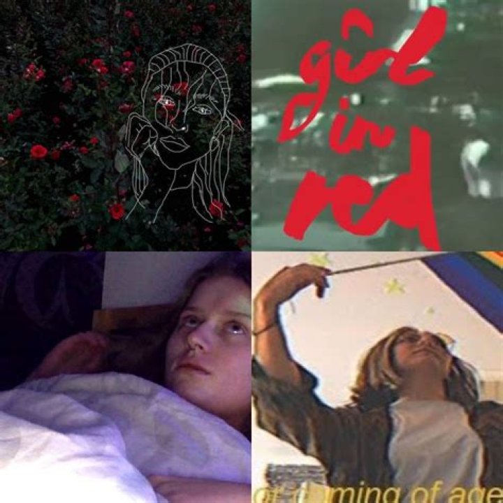 Girl in Red Bio (Wiki) 