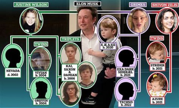 Grimes sues Elon Musk over parental rights to their three children