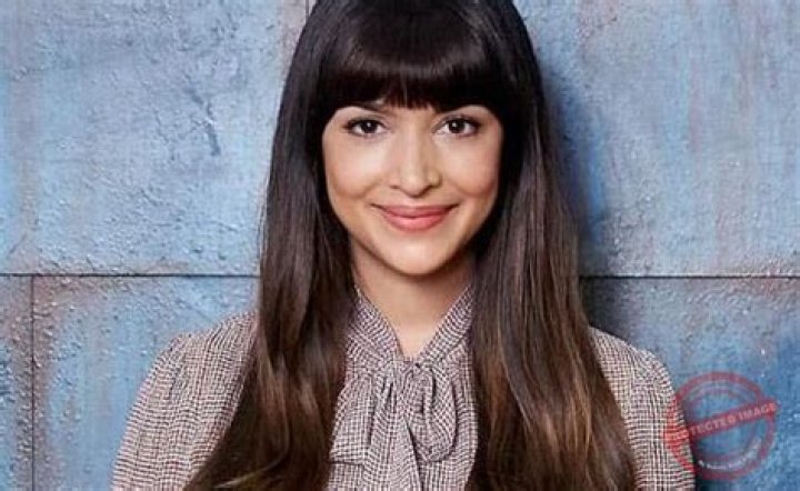Hannah Simone Bio (Wiki) 