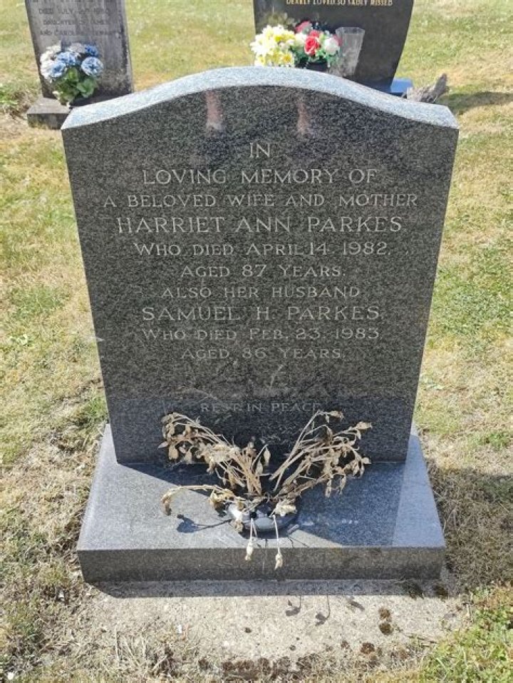 Harriet Parkes - Age, Family, Bio