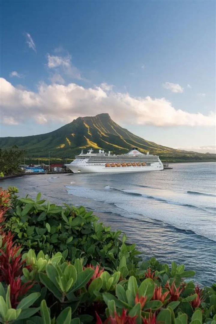 Hilo Cruise: Discover Cruises to Hilo Hawaii