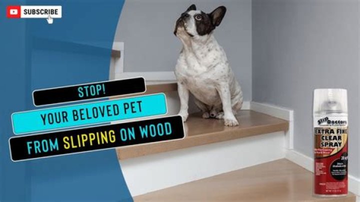 How can I make my dogs floor less slippery?