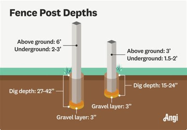 How deep do snakes dig?