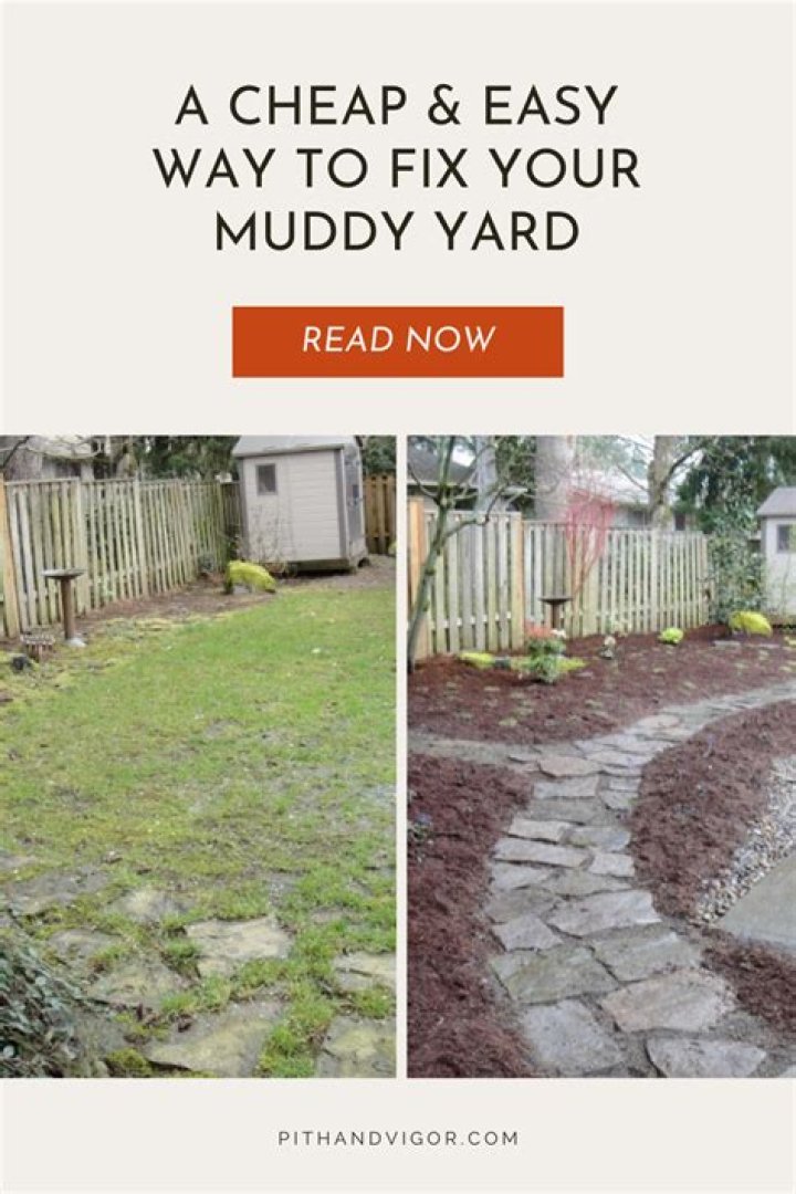 How do I fix my dogs muddy yard?