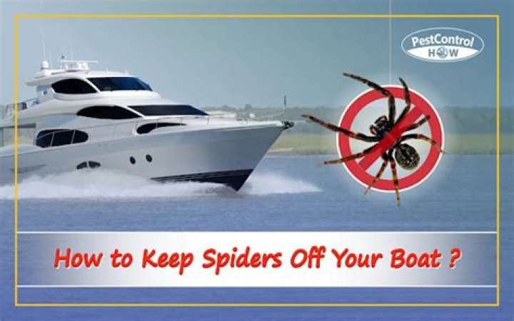 How do I keep spiders off my sailboat?