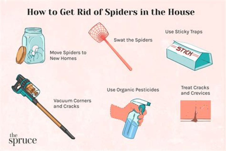 How do I keep spiders out of my gazebo?