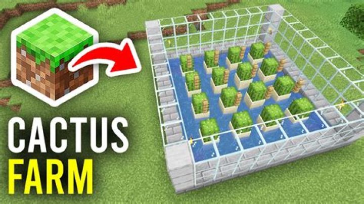 How do you make an automatic cactus farm in Minecraft PE?