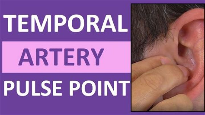 How do you palpate a temporal pulse?