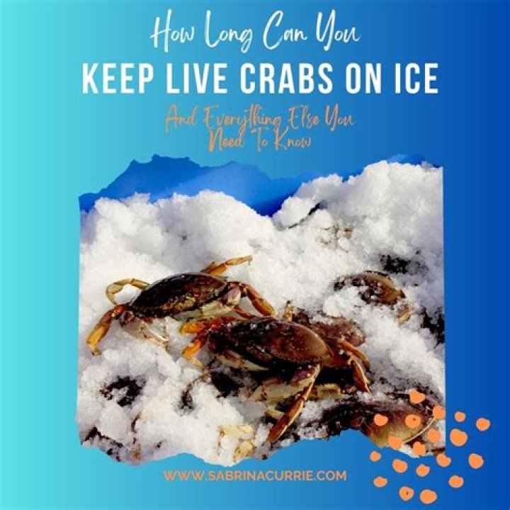 How long can you keep raw crayfish in the freezer?