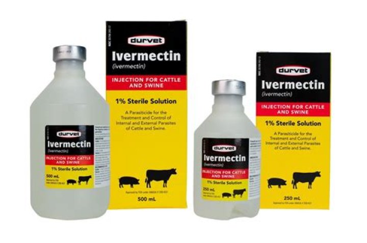 How many ml of ivermectin can I give my dog?