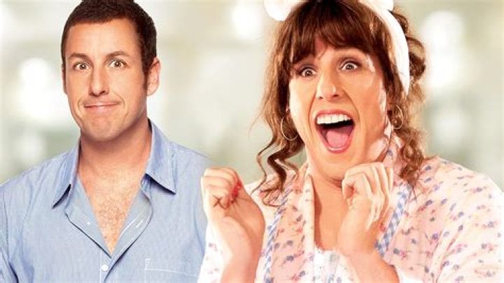 How much did Adam Sandler make for Jack and Jill?