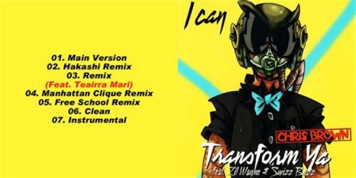 I Can Transform Ya - Artist, Ages, Trivia