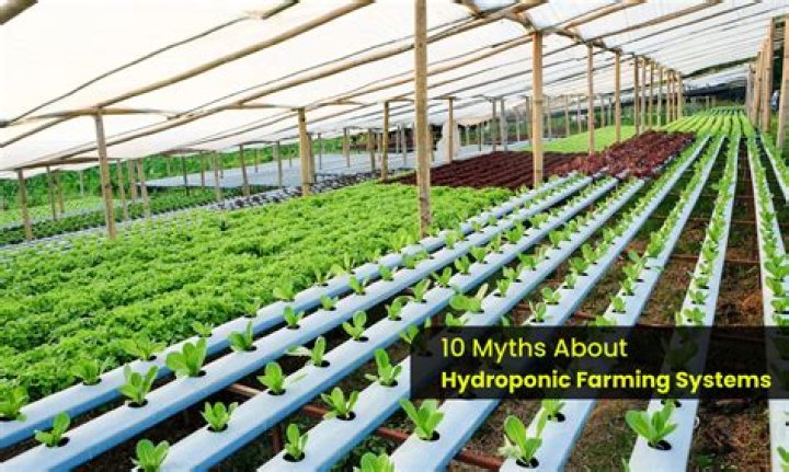 Is hydroponic expensive?