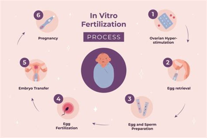 Is IVF (In-Vitro Fertilization) Allowed in Islam?