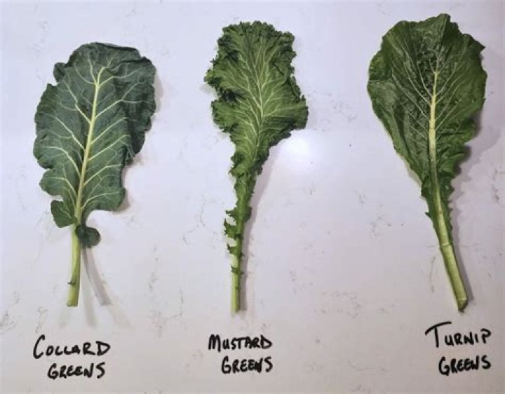 Is Kale the same as turnip greens?