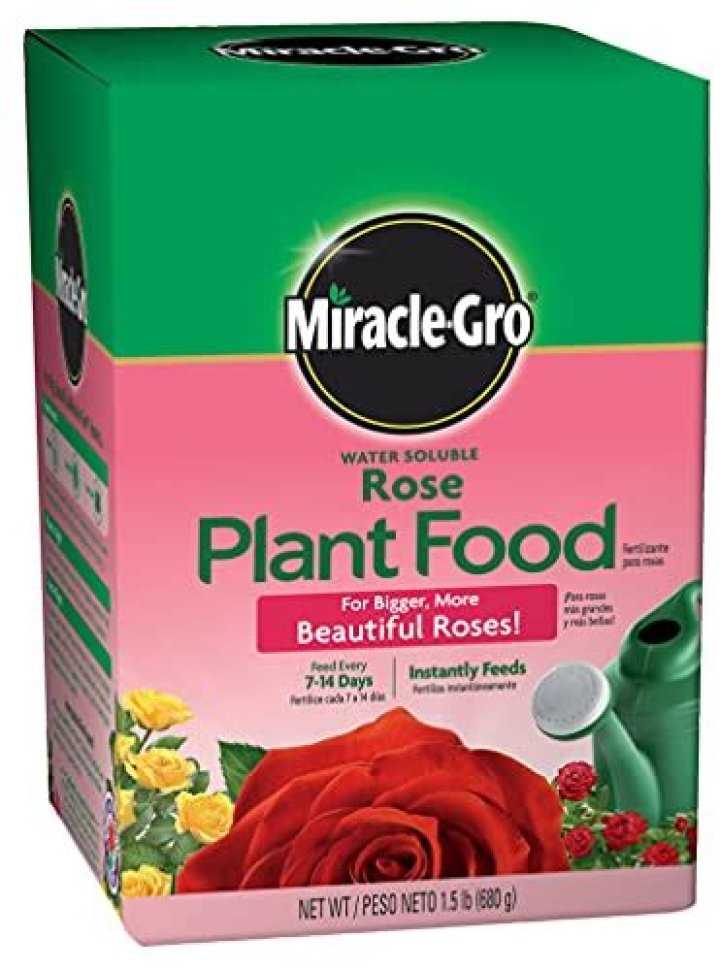 Is Miracle Grow fertilizer good for roses?