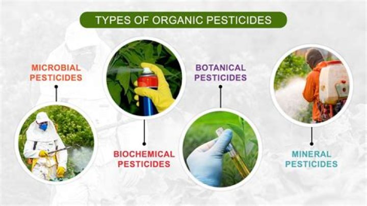 Is oatmeal high in pesticides?