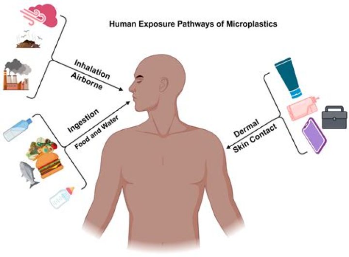 Is preen toxic to humans?