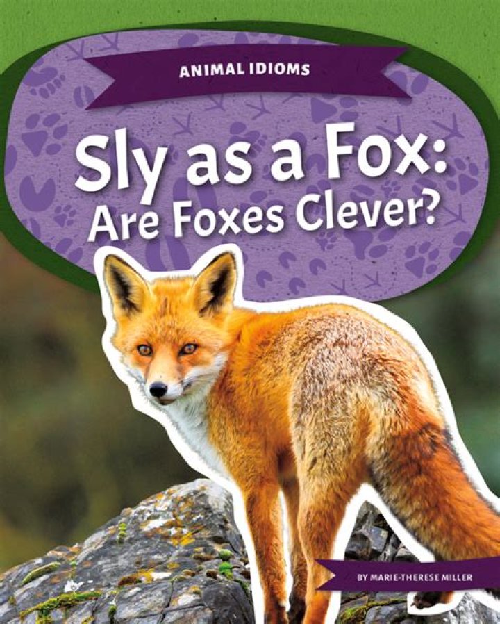 Is sly as a fox an idiom?