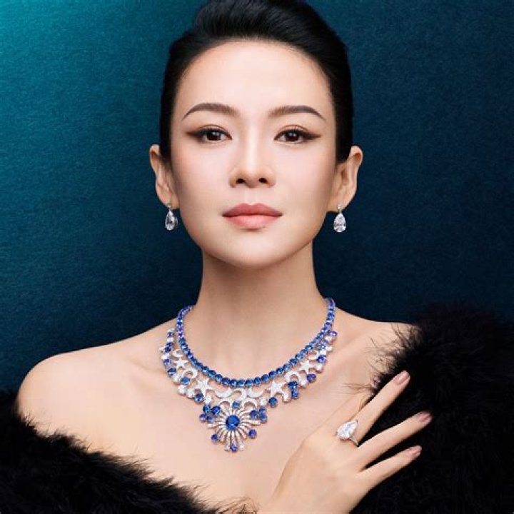 Is Zhang Ziyi secretly a hooker charging $1 million per night?