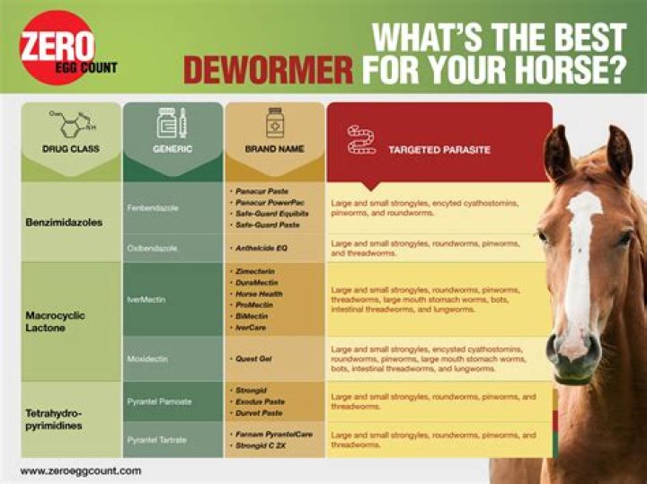 Joe Rogan threatens to sue CNN for saying he took horse dewormer (which he did)