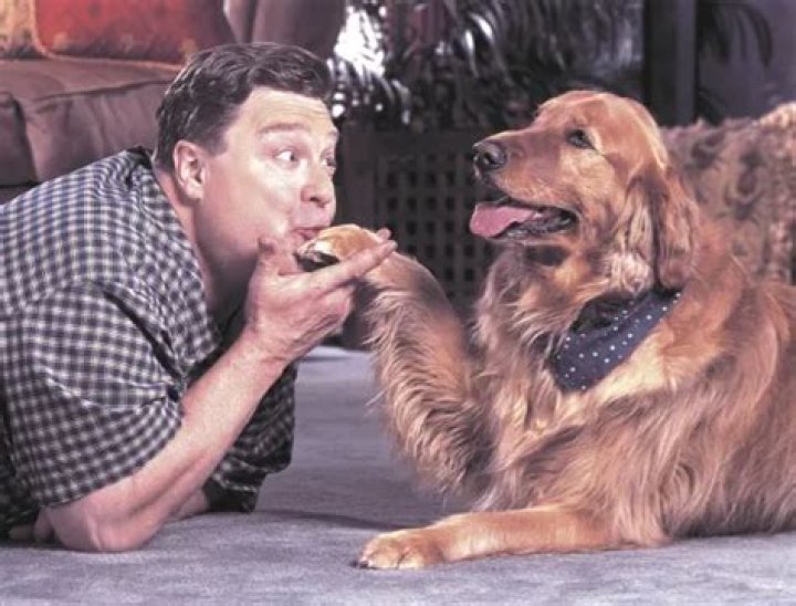 John Goodman Pets - Celebrity Pets