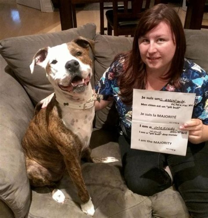 Jon Bernthal speaks out against pit bull discrimination, negative stereotypes