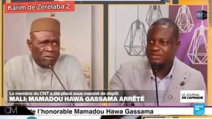 Mamoudou Gassama Bio (Wiki) 