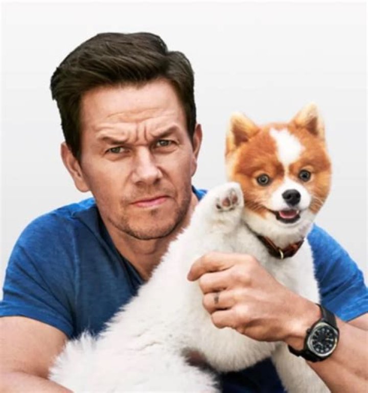 Mark Wahlberg Pets - Celebrity Pets