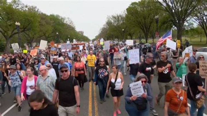 Martha Plimpton organized a bus for 28 people to protest Baby Fists’ inaugural