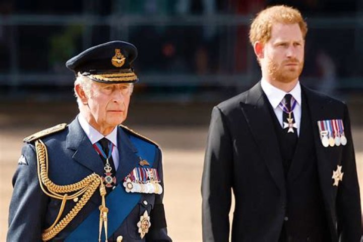 	Mia Farrow on Prince Harry & William: ‘I just want those two boys to be together’	