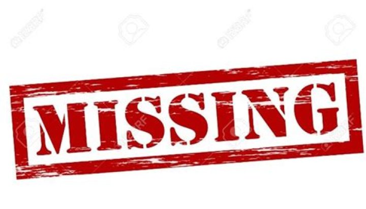 Michael Reamer Missing Case Update: What Happened?