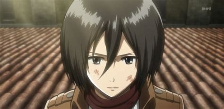 Mikasa Ackerman Death Scene Plot Story: Attack on Titan Fans Outraged