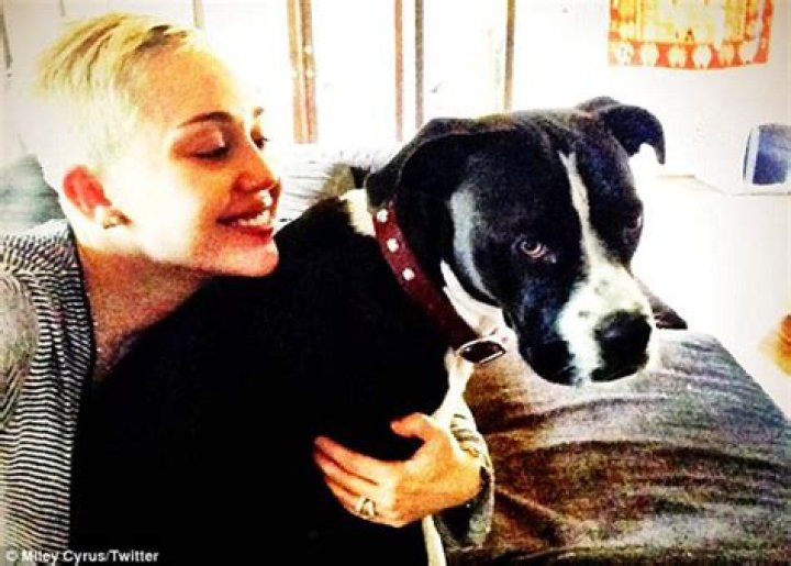 Miley Cyrus’s dog Lila died after one of Miley’s other dogs attacked her