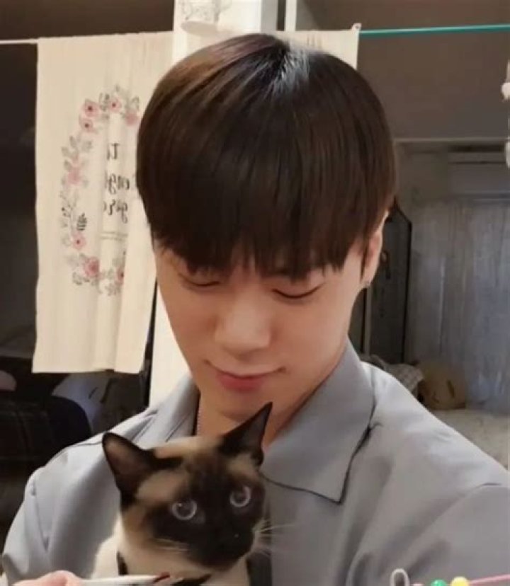 Moonbin Pets - Celebrity Pets