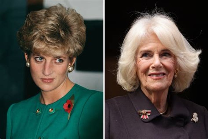 New biography of Duchess Camilla makes strange claims about Diana & Charles