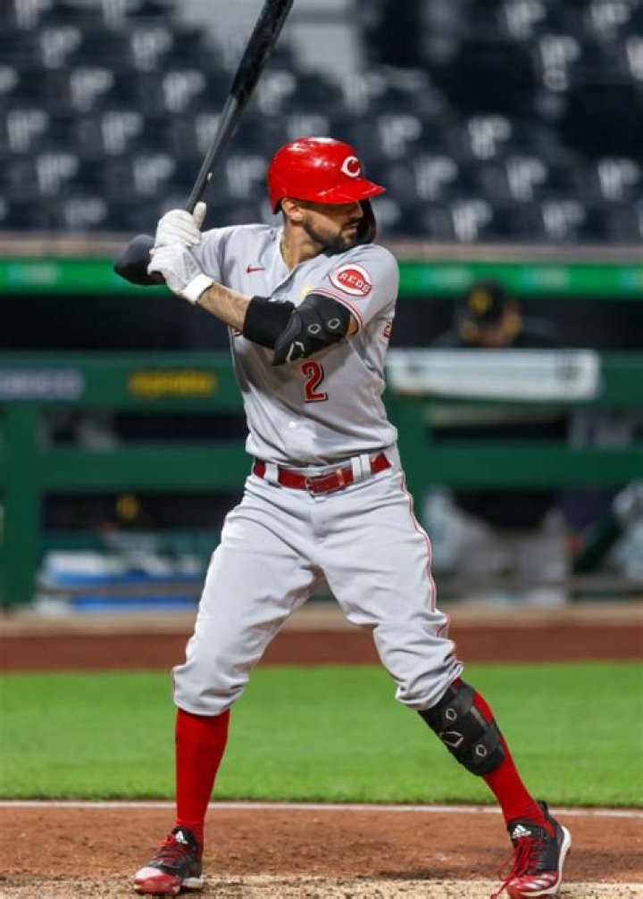 Nick Castellanos Bio (Wiki) 