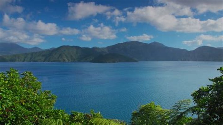 Picton Cruises: Best Cruises to Picton