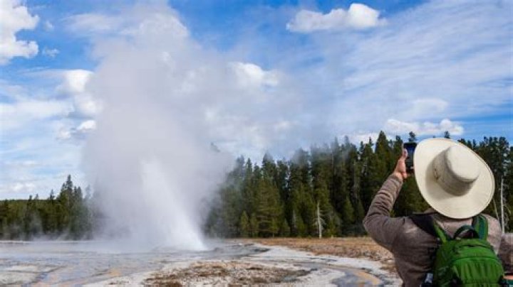 Pierce Brosnan pleads not guilty to entering thermal area at Yellowstone
