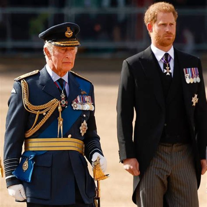 Prince Harry will travel to Japan & Singapore next week for a summit & polo