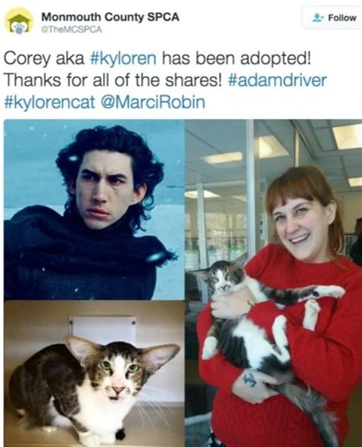 ‘Real Housewives’ Star Jenna Lyons Introduces Her Unique New Kitties