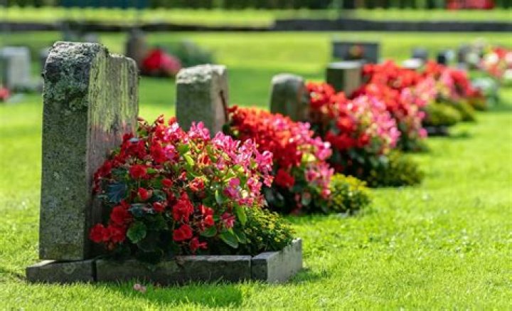 Remembering Carole Achache Suicide By Hanging: Death And Obituary