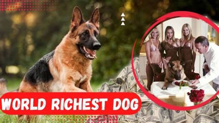 Richest animal rights rescuers of all time