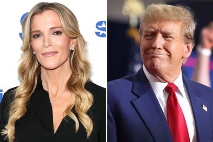 Roger Ailes out at Fox News after Megyn Kelly claims he harassed her too