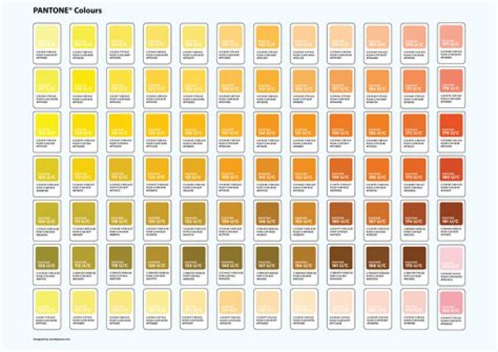 Ruby Rose tattooed the Pantone Color Chart to her back post breakup