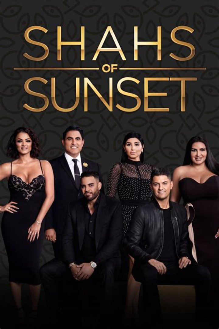 ‘Shahs of Sunset’ has been canceled after 9 seasons, was it related to Mike’s arrest?