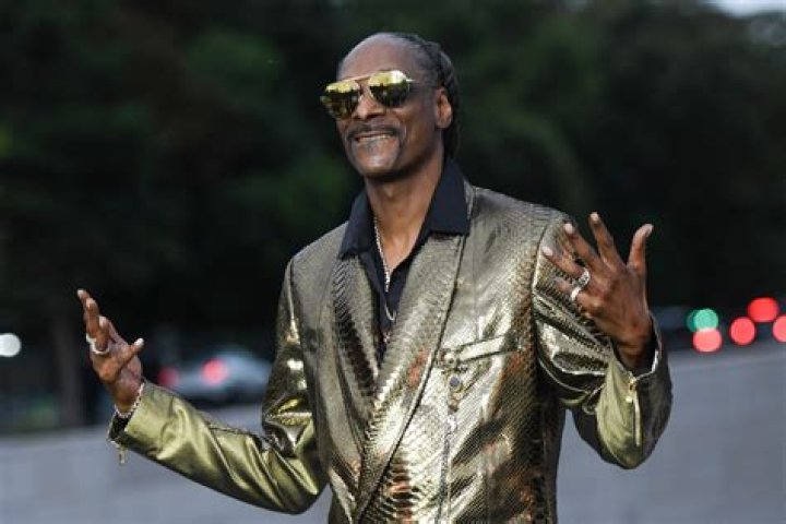 Snoop Dogg Is Cousin Itt in New 'Addam's Family'